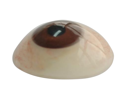 呼伦贝尔微雕义眼定制
